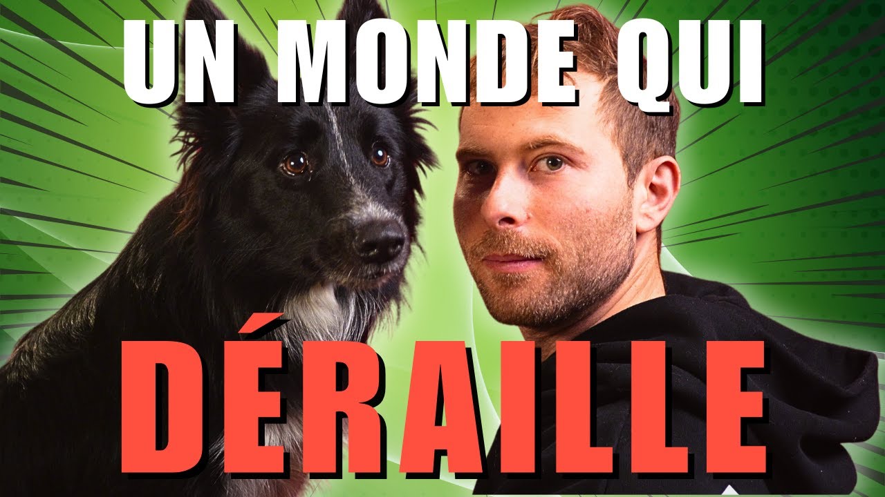 Le monde du chien a vraiment de GROS problèmes