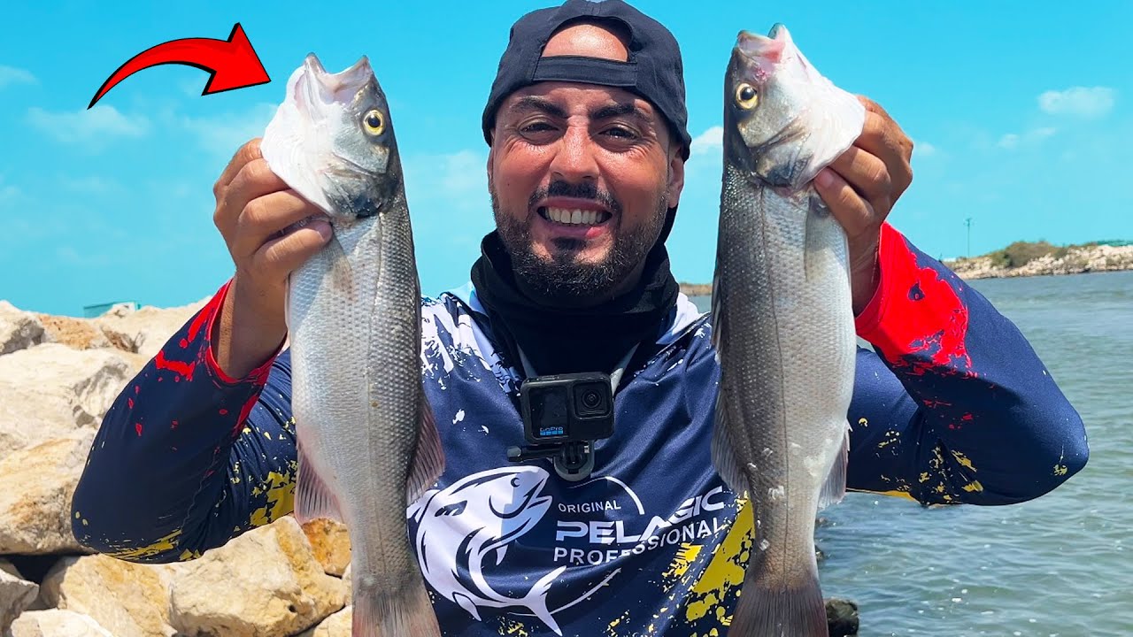 KIYI LEVREK KAYNIYOR ! / At Çek Spin LRF Balık Avı / Levrek Balık Avı