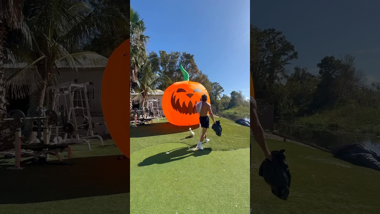 GIANT PUMPKIN HOT BOX 🎃