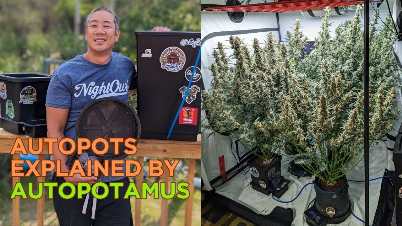 AutoPot Deep Dive: Pro Tips & Insights with #Autopotamus