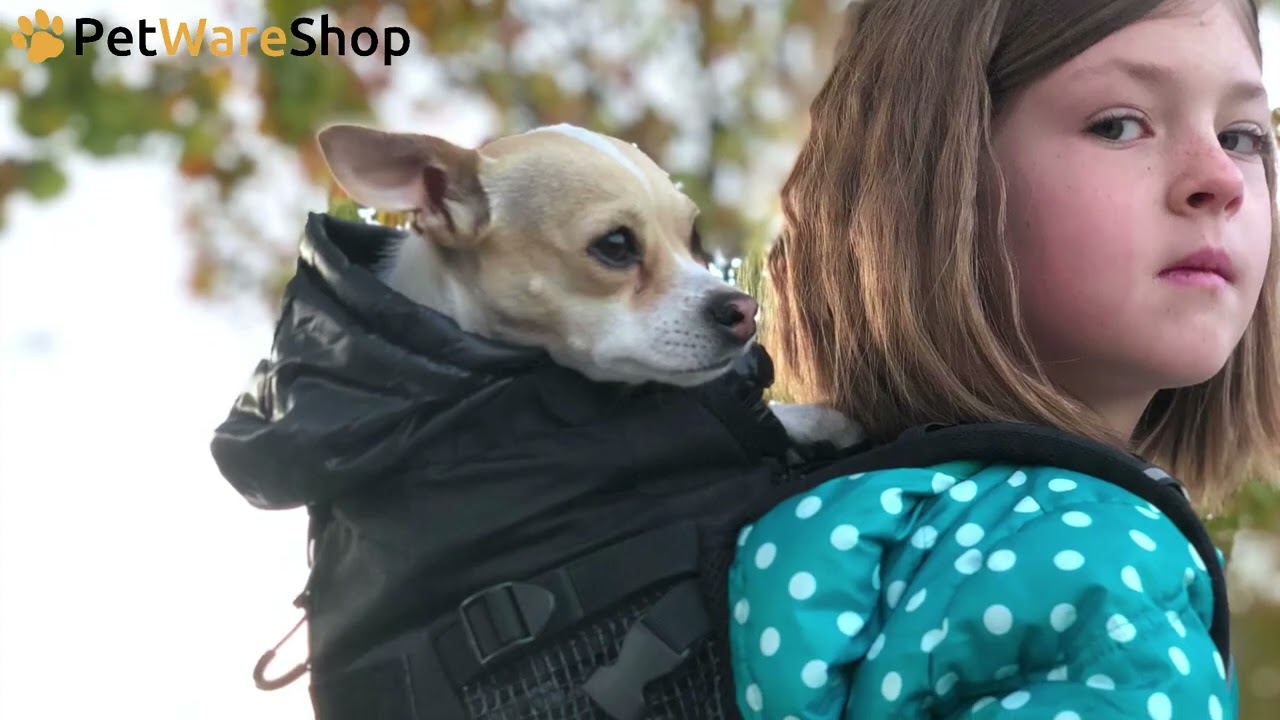 K9 Sport Sack - How to choose the correct size - PetWareShop