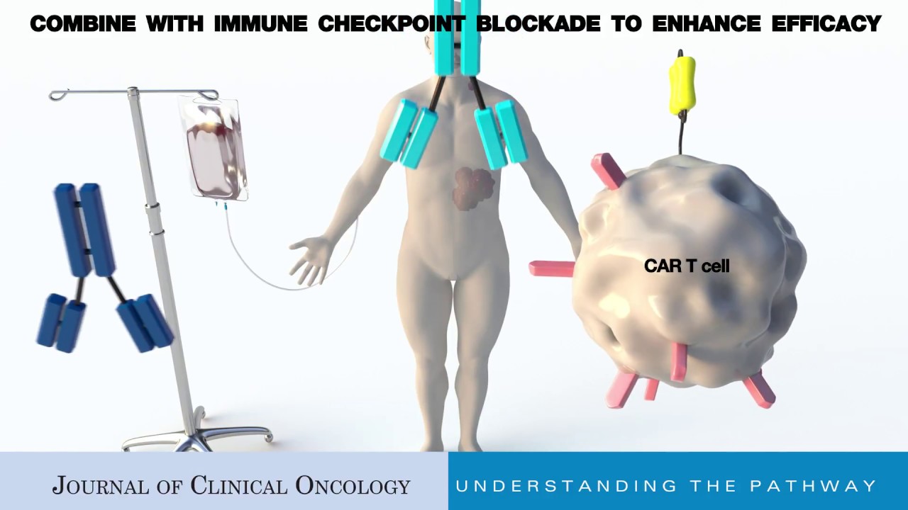 Chimeric Antigen Receptor T Cells for Cancer Immunotherapy