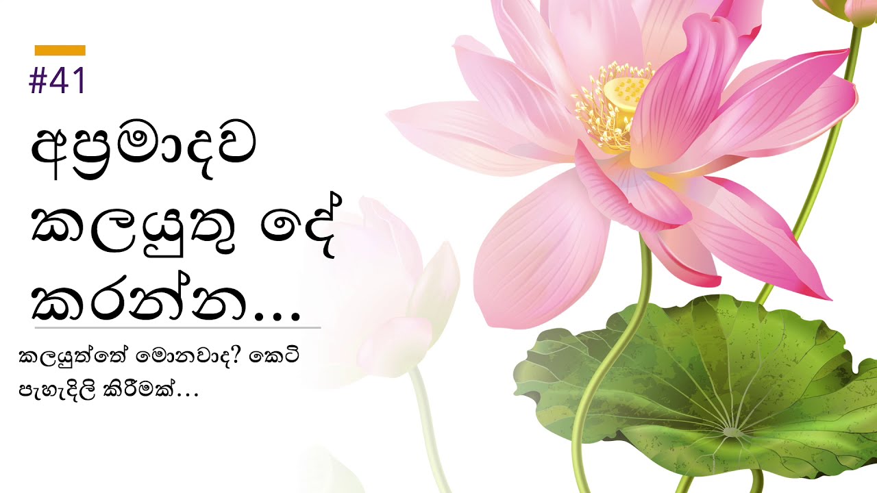 අප්‍රමාදී වන්න - Being diligent