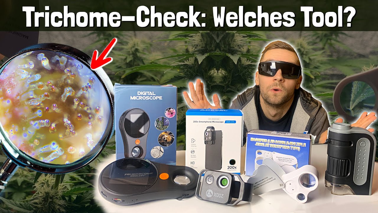 Trichome &uuml;berpr&uuml;fen: Die besten Tools f&uuml;r den perfekten Erntezeitpunkt!
