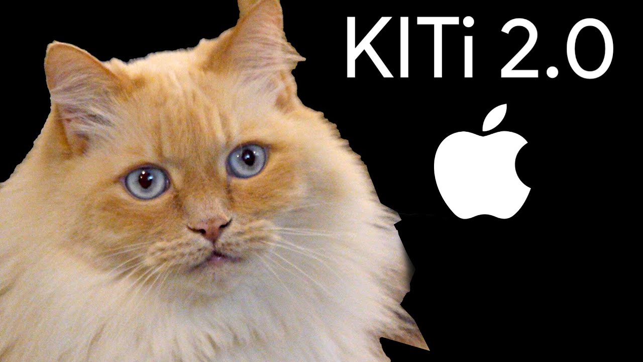 KITi 2.0 - The Virtual Cat Assistant