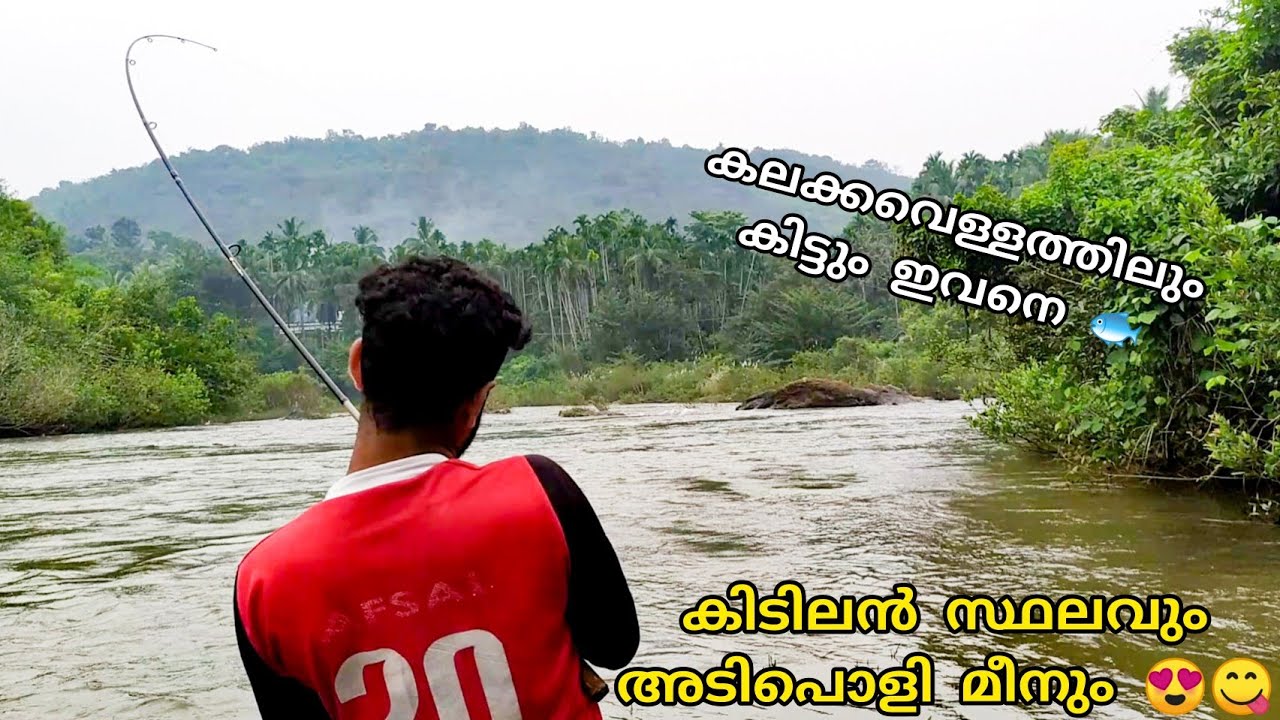 കലക്കവെള്ളത്തിലും ഈ മീൻ കിട്ടും😻 | Fishing on muddy water |Kasaragod fishing