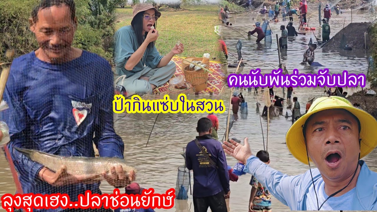 ลุงสุดเฮง..จับปลาช่อนยักษ์หนักหลายกิโล ป้าแนน! ในสวนพ่อค้ามาขายสิ่งนี้