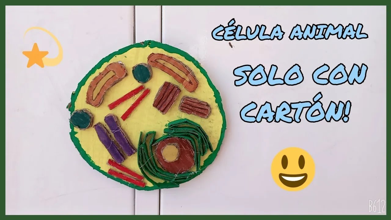 Maqueta de la célula animal de cartón. muy fácil de hacer