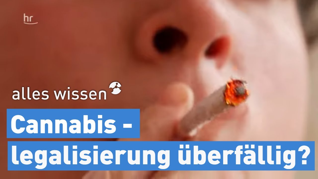 Legalisierung von Cannabis &ndash; &uuml;berf&auml;llig oder gef&auml;hrlich? | alles wissen