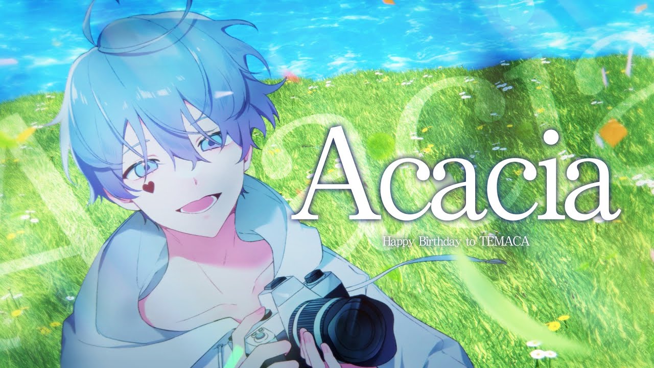 【MAJUK】 Acacia / Happy Birthday to TEMACA!!!