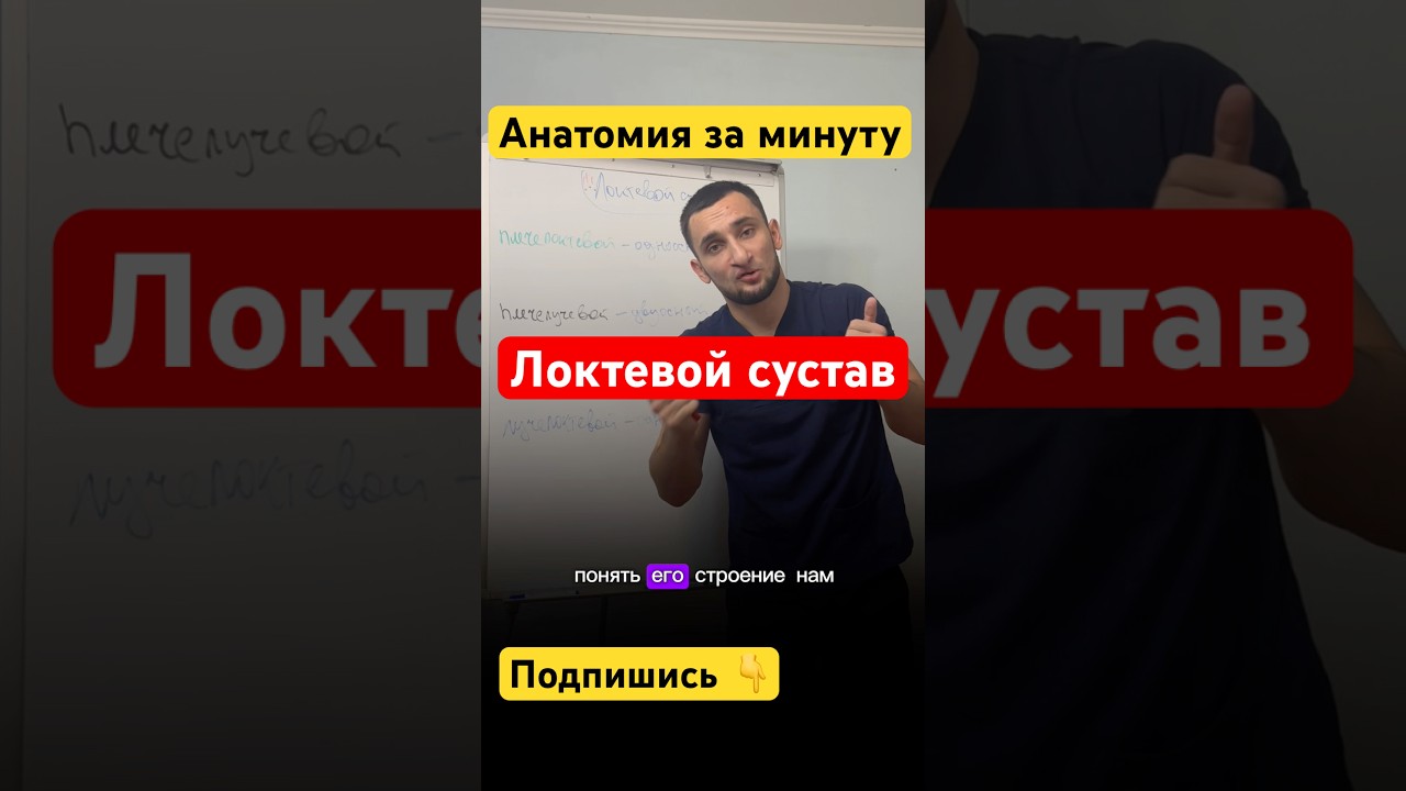 Локтевой сустав за минуту #анатомия #врач #суставы #shorts #шортс