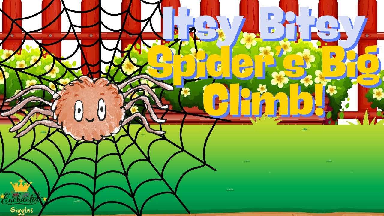 The Itsy Bitsy Spider's Big Climb | Story + Song for Kids