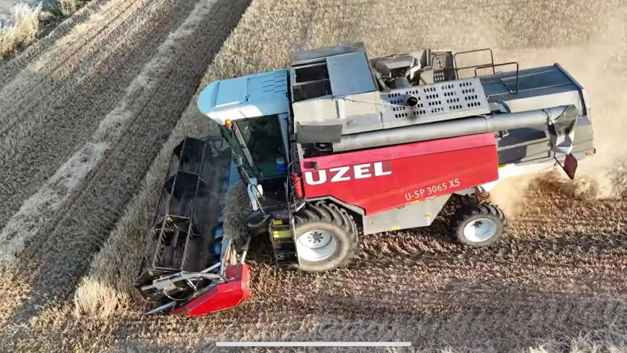 Harvesting barley with UZEL harvester Döverbiçer ile arpa biçimi #UZEL #biçerdöver #newholland #bcs