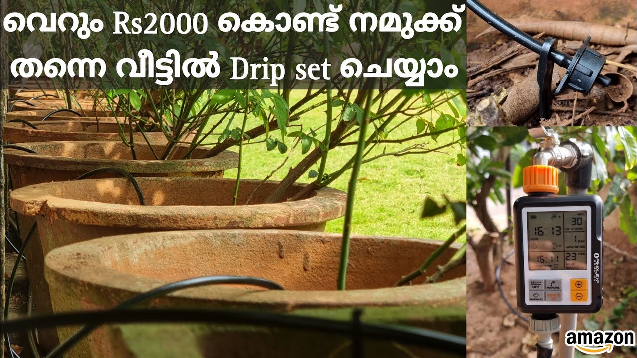 Automatic Drip Irrigation System at Home for just Rs2000 | എങ്ങനെ നമുക്ക് സ്വന്തം വാങ്ങി വെക്കാം