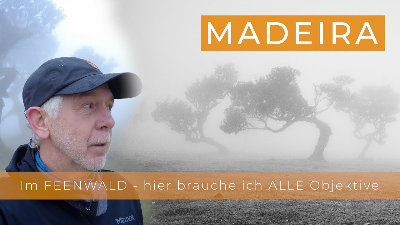 Madeira - Landschaftsfotografie im mystischen und schönsten Lorbeerwald.