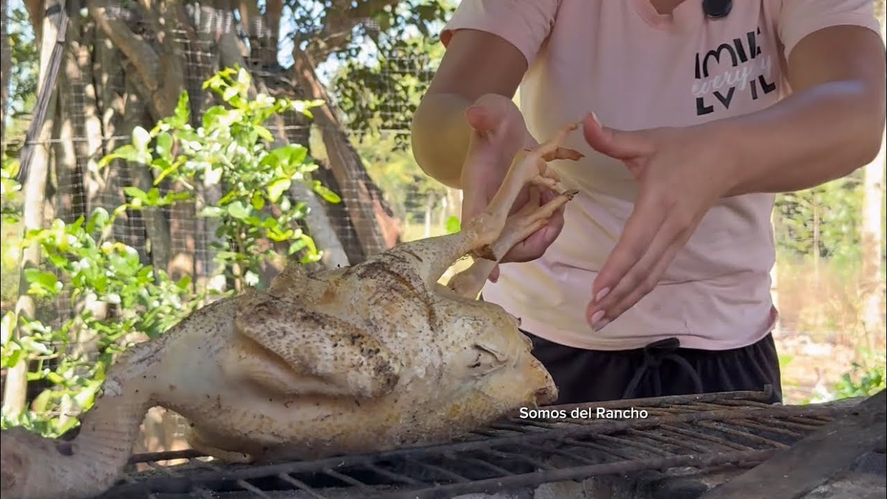Guiso de gallina criolla.