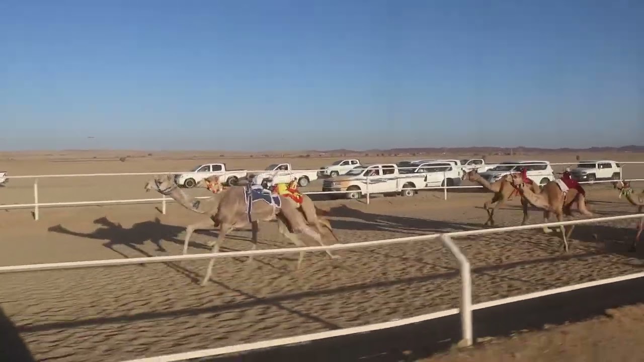 الشوط الاول بكار حقايق 3 كلم زاهيه / سليمان بن رويشد الجهني