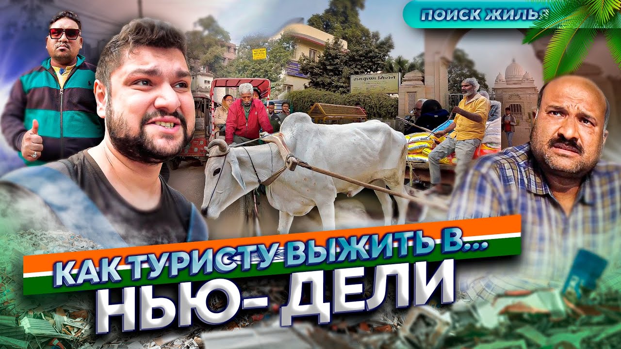 Я сюда больше не вернусь \ Как туристу выжить в Нью-Дели \ Индийский колорит