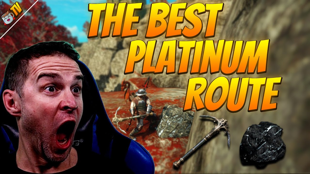 The Best Platinum Ore Route in New World!