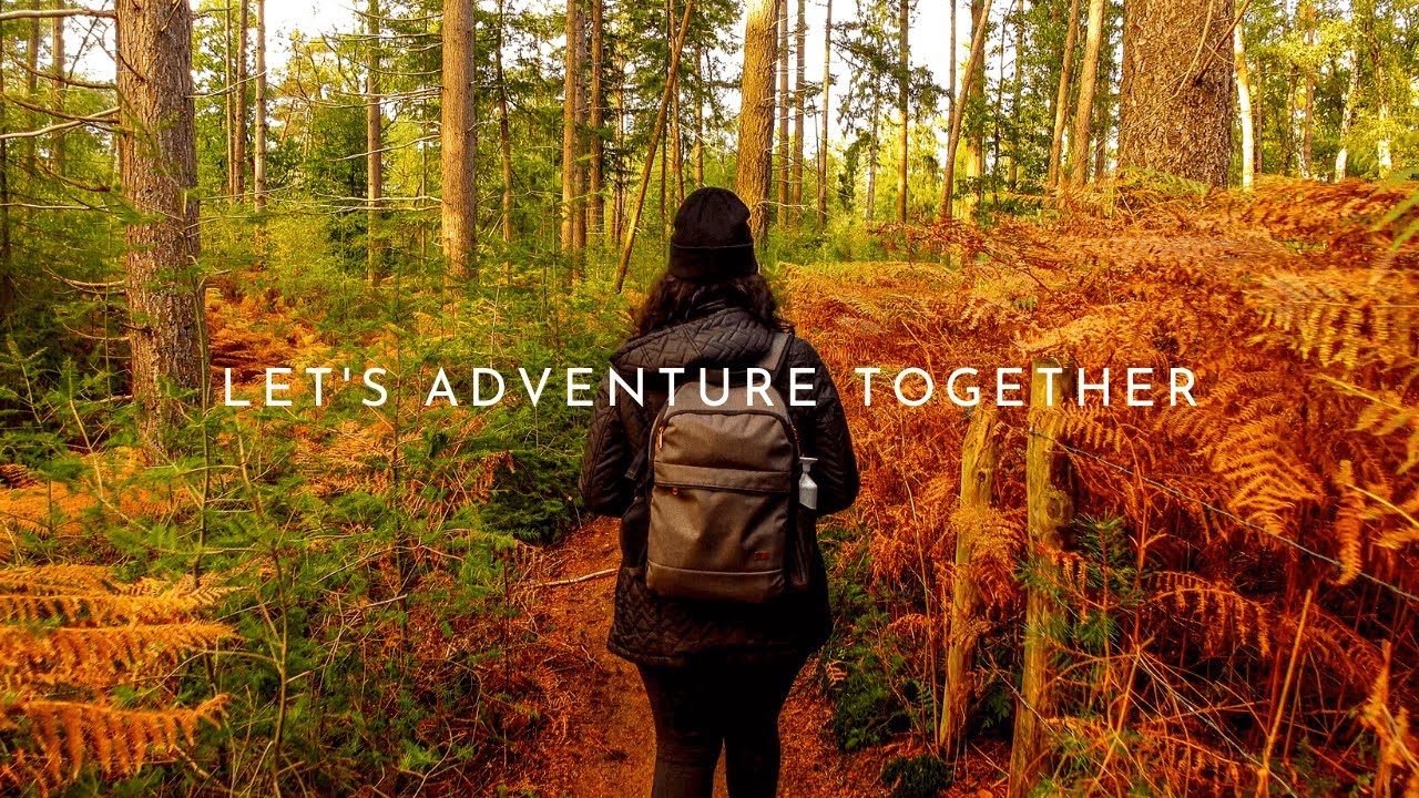 Strolling through the Scenic Beauty of Lage Vuursche
