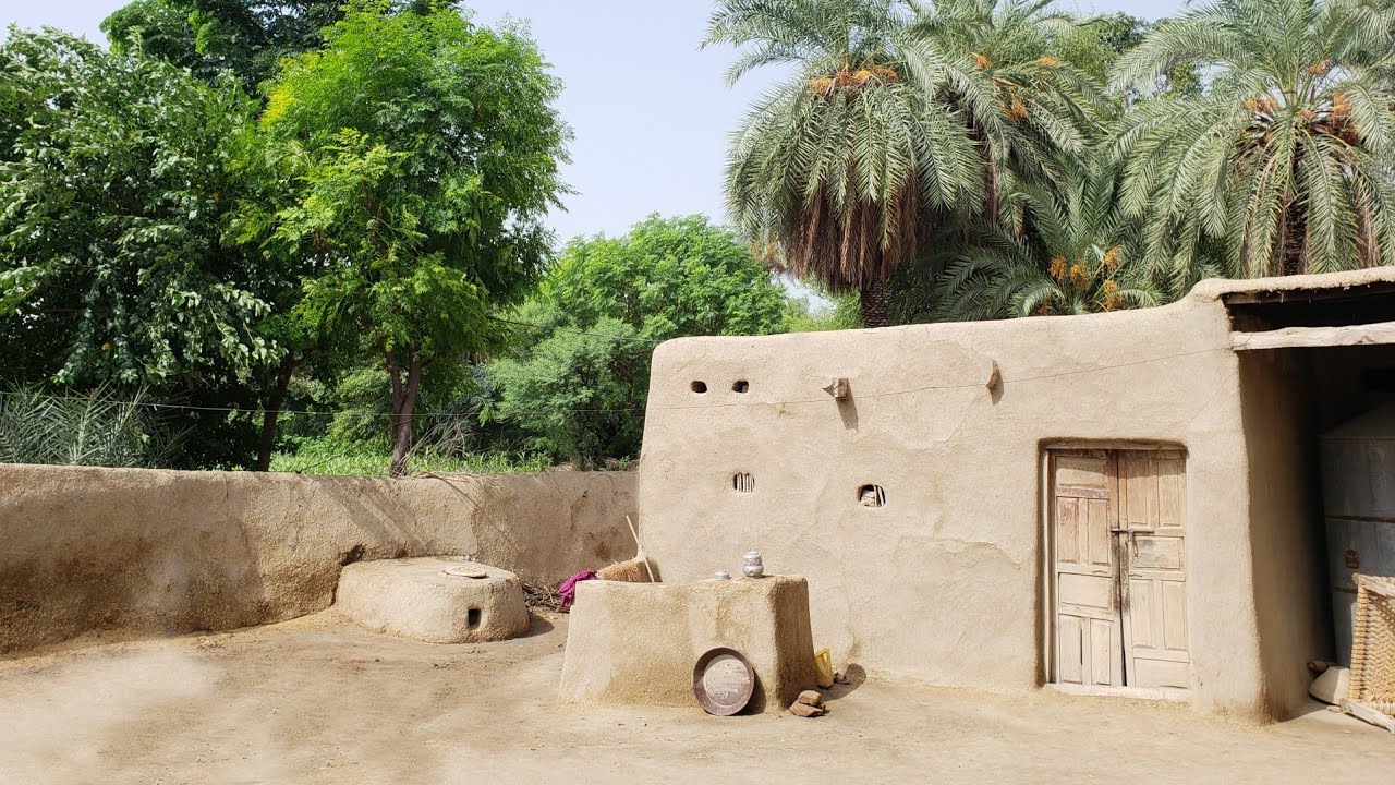 FRESH VILLAGE LIFE IN PUNJAB PAKISTAN 2019