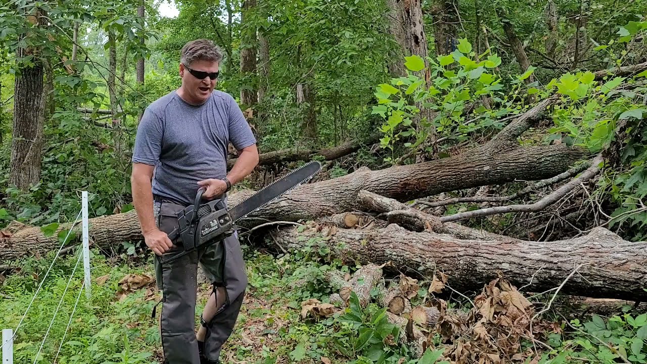 Massive winds take out several trees, Craftsman 3.3 to the rescue!