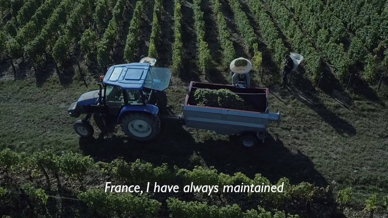 Le domaine Pascal Jolivet à Sancerre