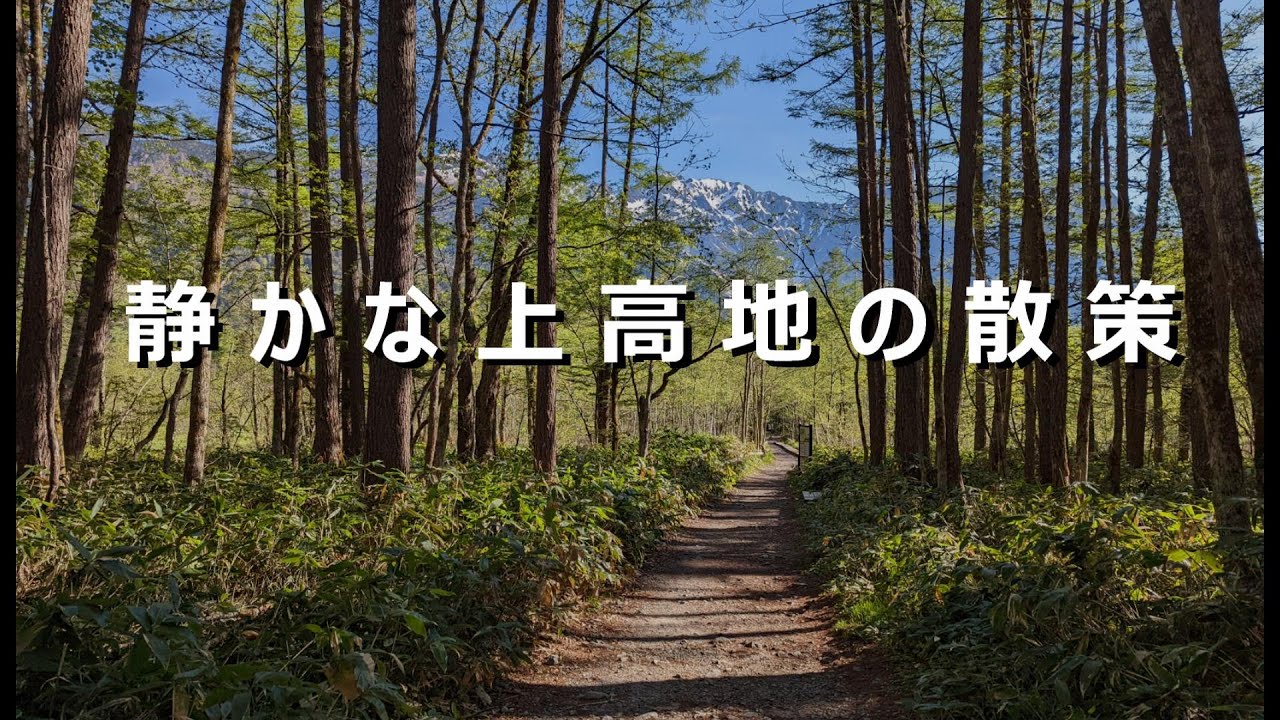 【上高地】の散策・トレッキング・ハイキング【大正池、田代湿原、河童橋、明神池】