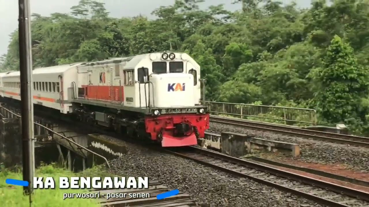 KERETA API PANJANG ‼️ MENEMUKAN 20 KERETA API NGEBUT DI TIKUNGAN