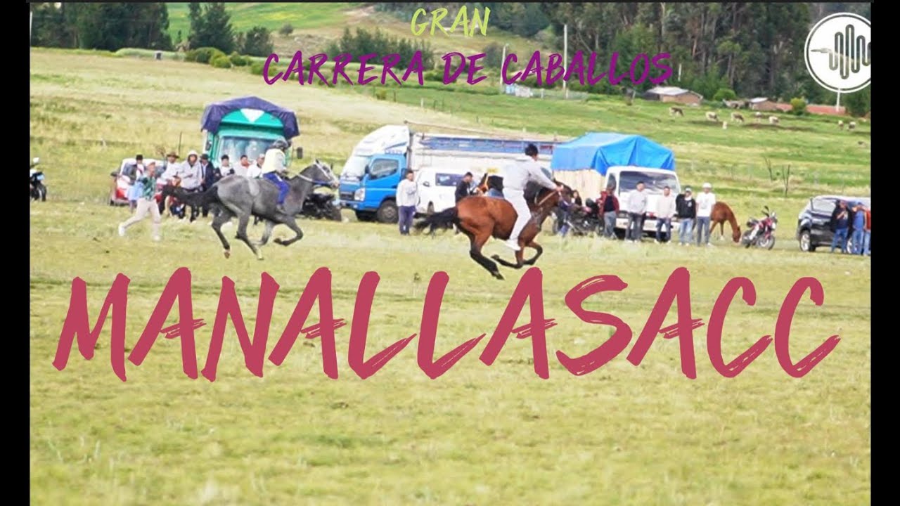 CARRERA DE CABALLOS Manallasacc 2024
