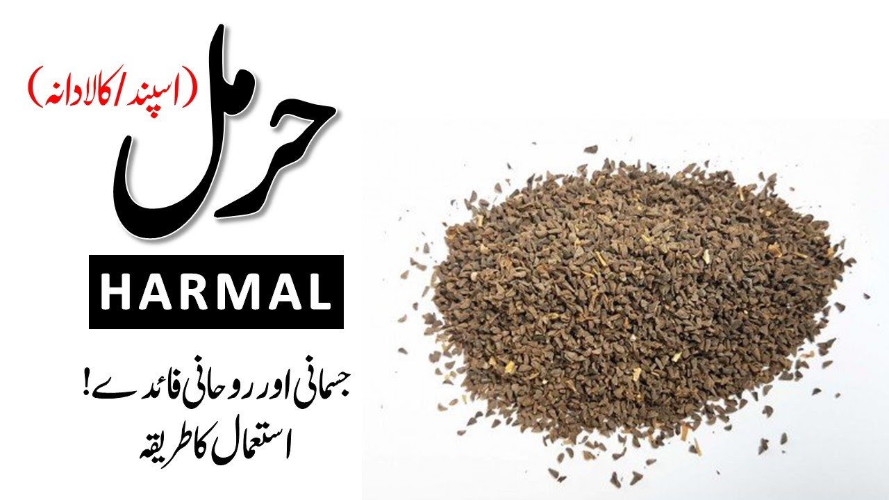 Harmal (حرمل) Ke Fayde | Kala Dana/Aspand | Tibe Ahlebait (Part 170) | Maulana Syed Ali Naqi Kazmi