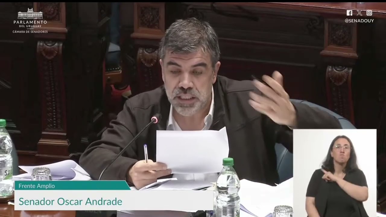Andrade en el Senado: presupuesto sin ajuste, más inversión y foco en la desigualdad