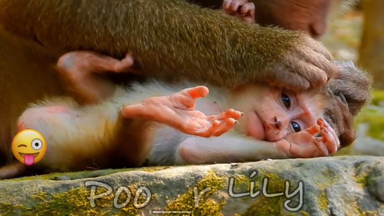 How to teach a mother's child..!! LiLy.. The baby will be strong in no time. Nice bb