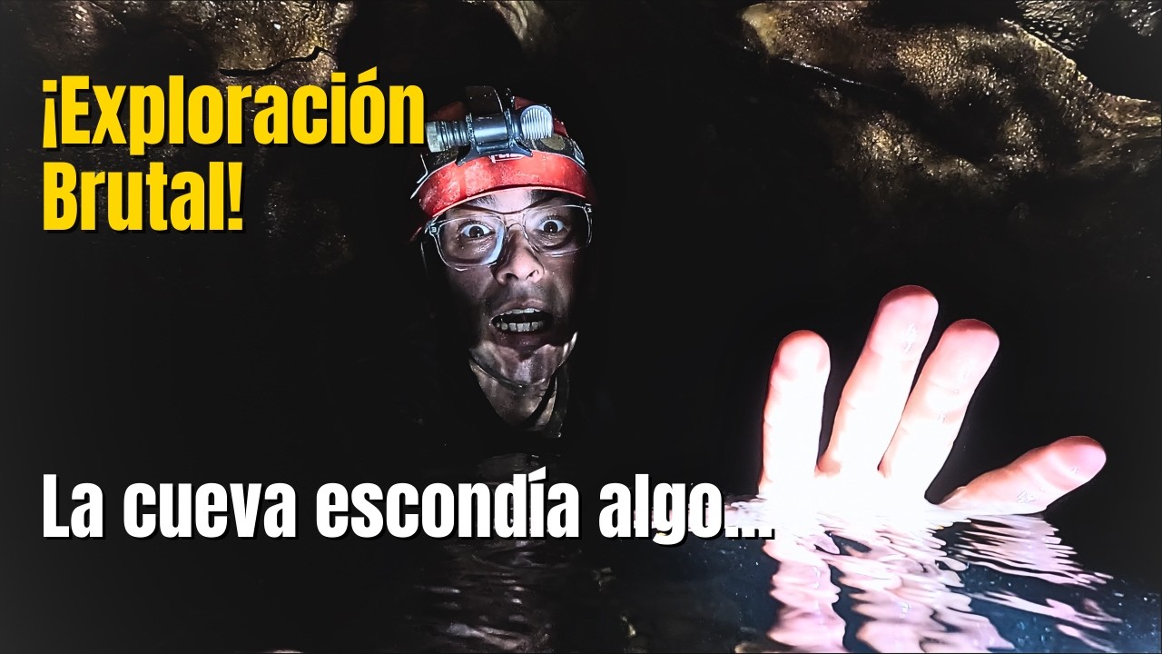 Descubrimos un Fósil Marino en Cueva de Morovis | ¿Un Mar Antiguo en Puerto Rico?