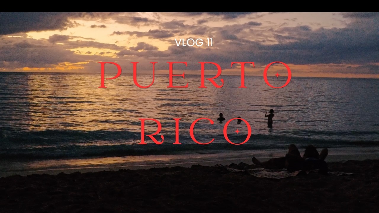 Vlog 11: 