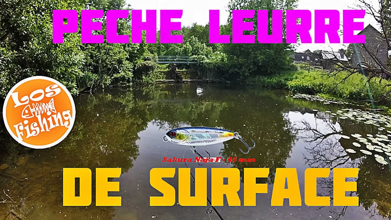 P&ecirc;che leurre de surface