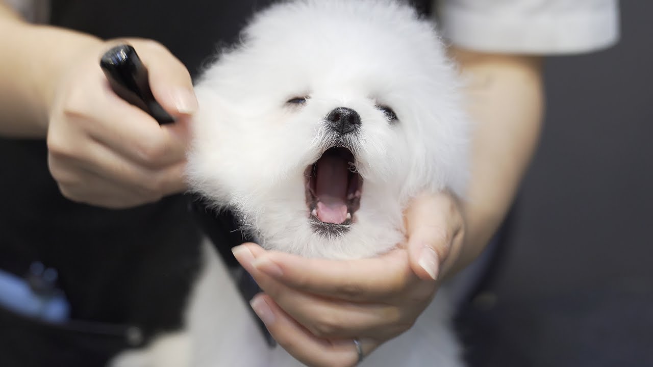 Make some noise~