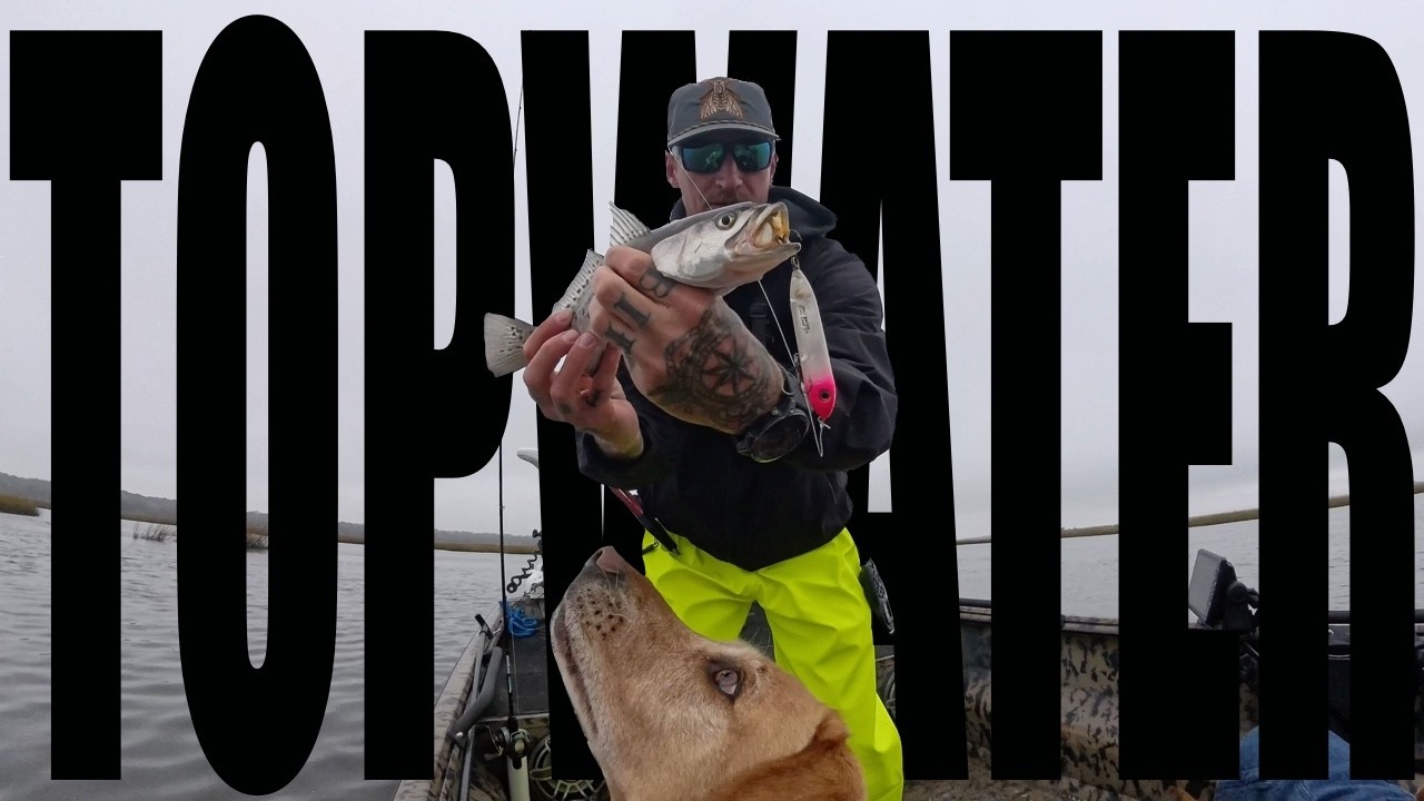 TOPWATER TRICKS on an overcast day in MAYPORT #topwater #fishing