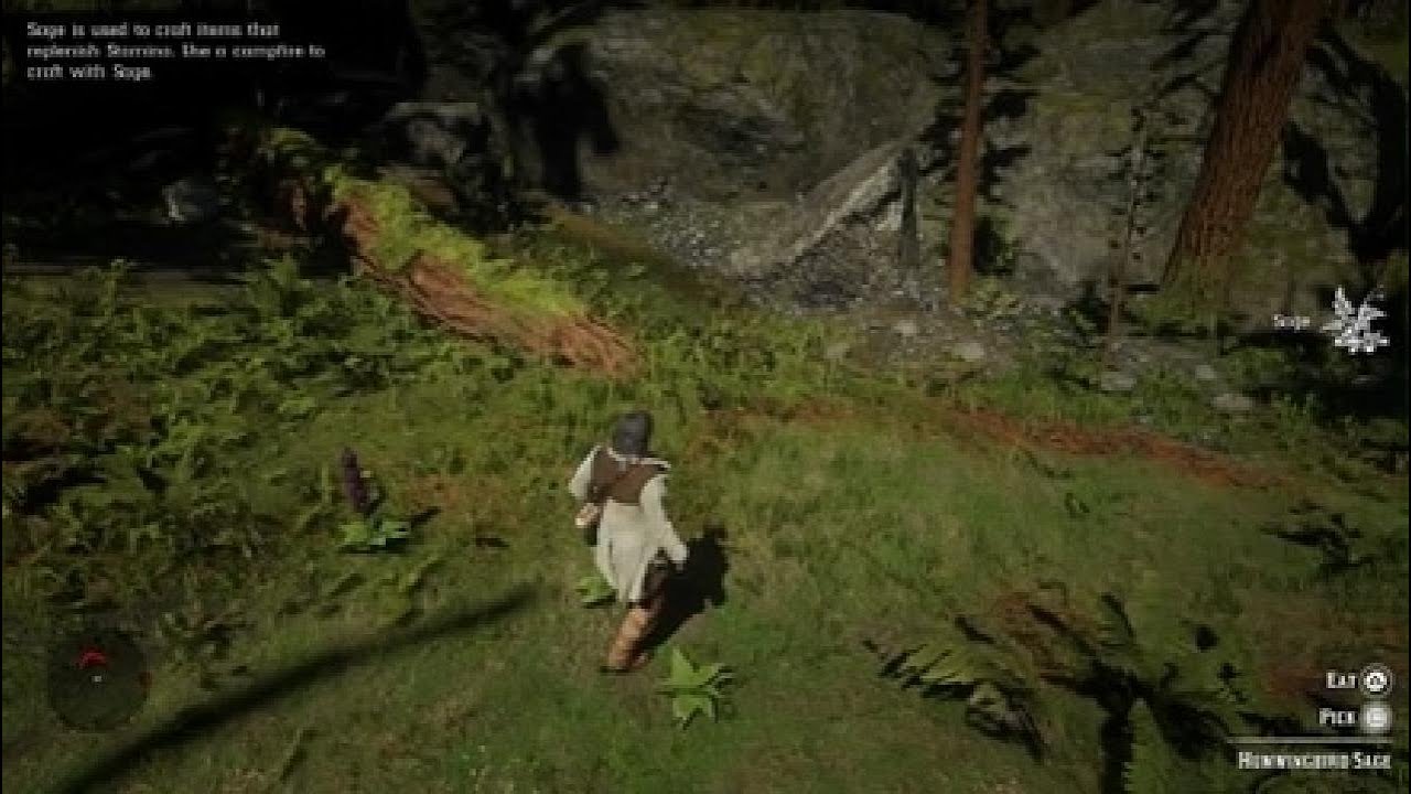 Red Dead Redemption 2_20260222111855
