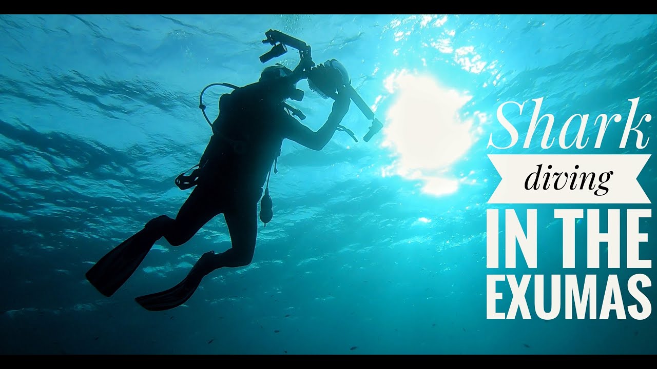 Diving with the Sharks in the Exumas