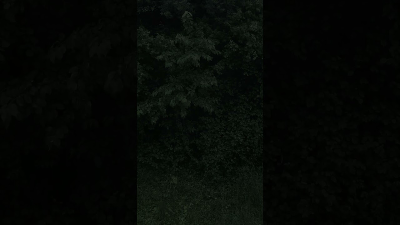 Thunderstorm ASMR &ndash; A Stormy Night to Soothe Your Soul #asmr #thunderstorm #stormsounds #sleepasmr