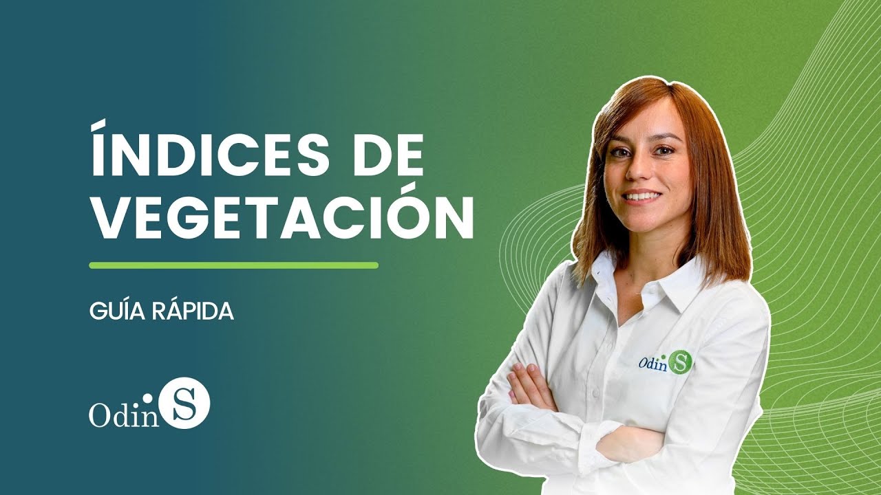 ÍNDICES DE VEGETACIÓN | GUÍA RÁPIDA