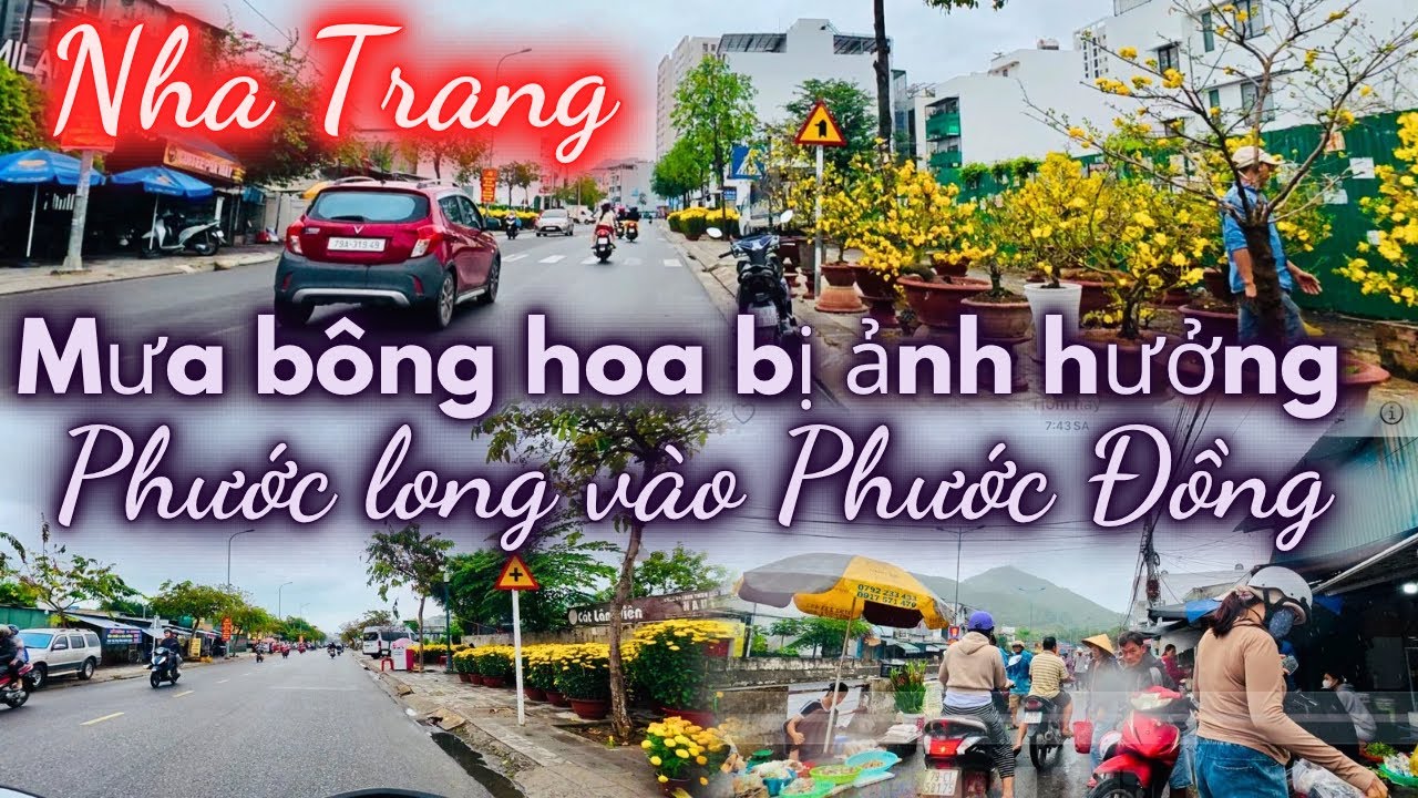 Sáng 25 Tết mưa nhẹ , Bông hoa bị ảnh hưởng. Từ Phước Long vào Chợ Phước Đồng ngày Cận Tết 
