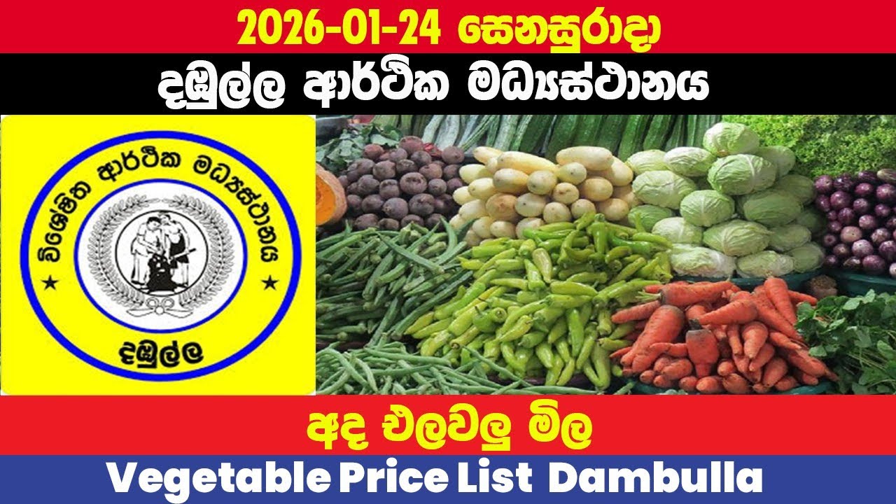 2026.01.24|දඹුල්ල එළවලු මිල |Dambulla Vegetable Price Today|Ada Dambulla elawalu mila