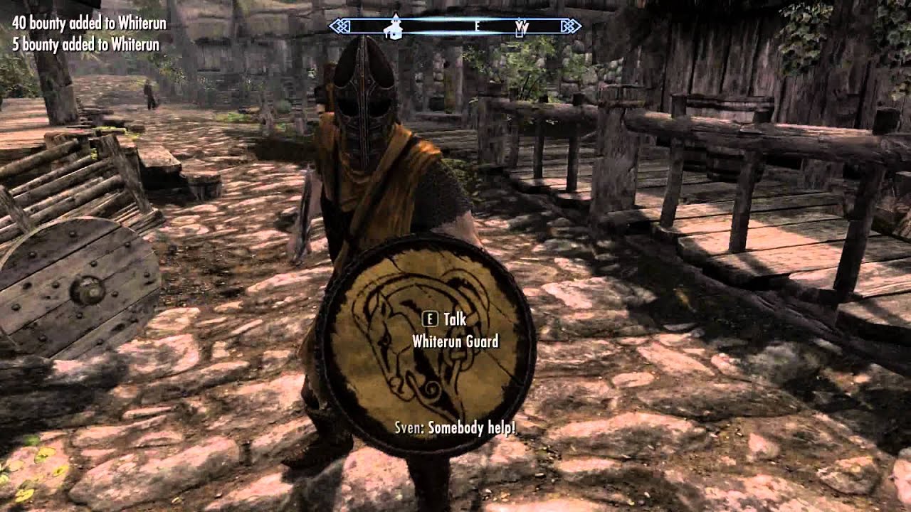 Elder Scrolls V Skyrim in a nutshell.