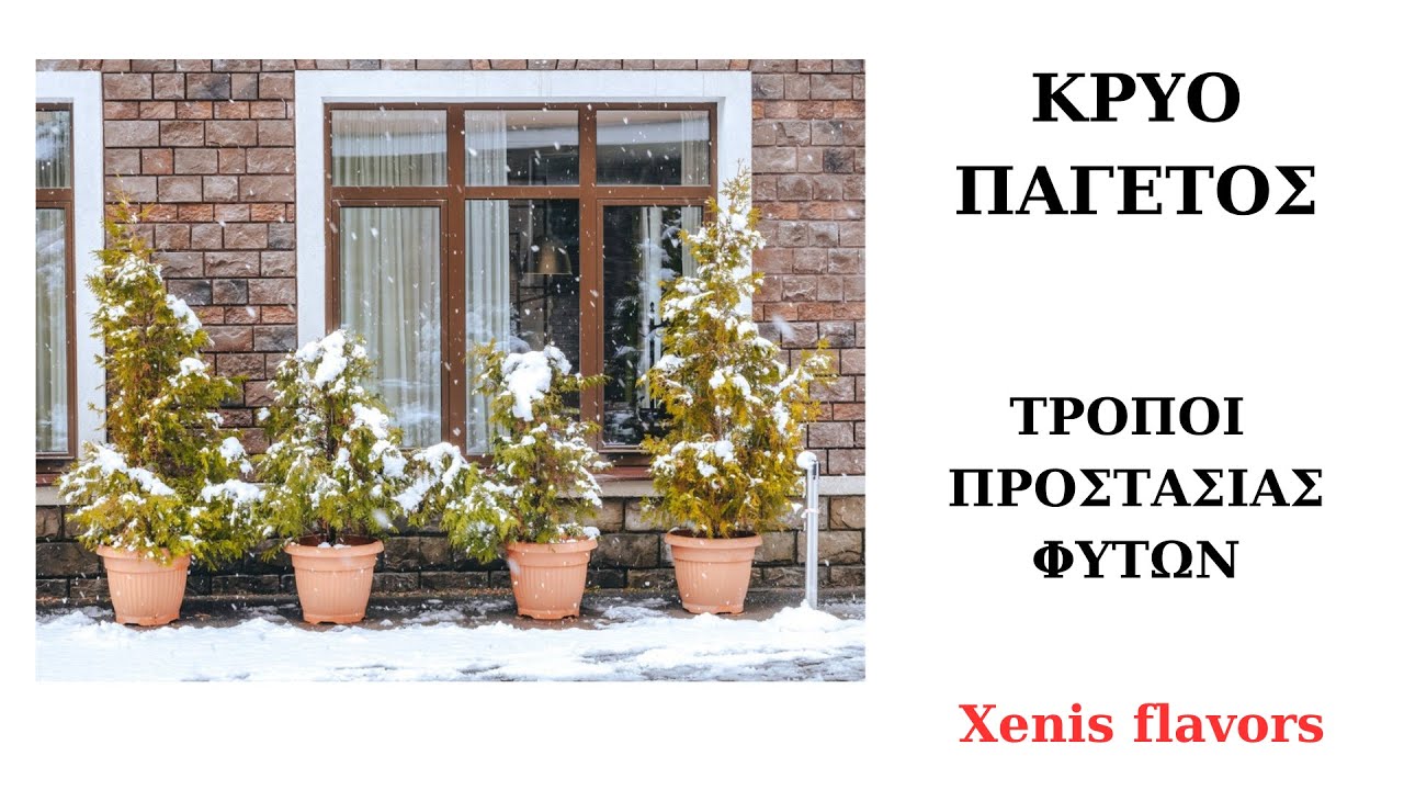 &Pi;&Rho;&Omicron;&Sigma;&Tau;&Alpha;&Sigma;&Iota;&Alpha; &Phi;&Upsilon;&Tau;&Omega;&Nu; &Alpha;&Pi;&Omicron; &Pi;&Alpha;&Gamma;&Epsilon;&Tau;&Omicron;! &Upsilon;&Lambda;&Iota;&Kappa;&Alpha; &Pi;&Alpha;&Gamma;&Epsilon;&Tau;&Omicron;&Pi;&Rho;&Omicron;&Sigma;&Tau;&Alpha;&Sigma;&Iota;&Alpha;&Sigma;!Xenis flavors