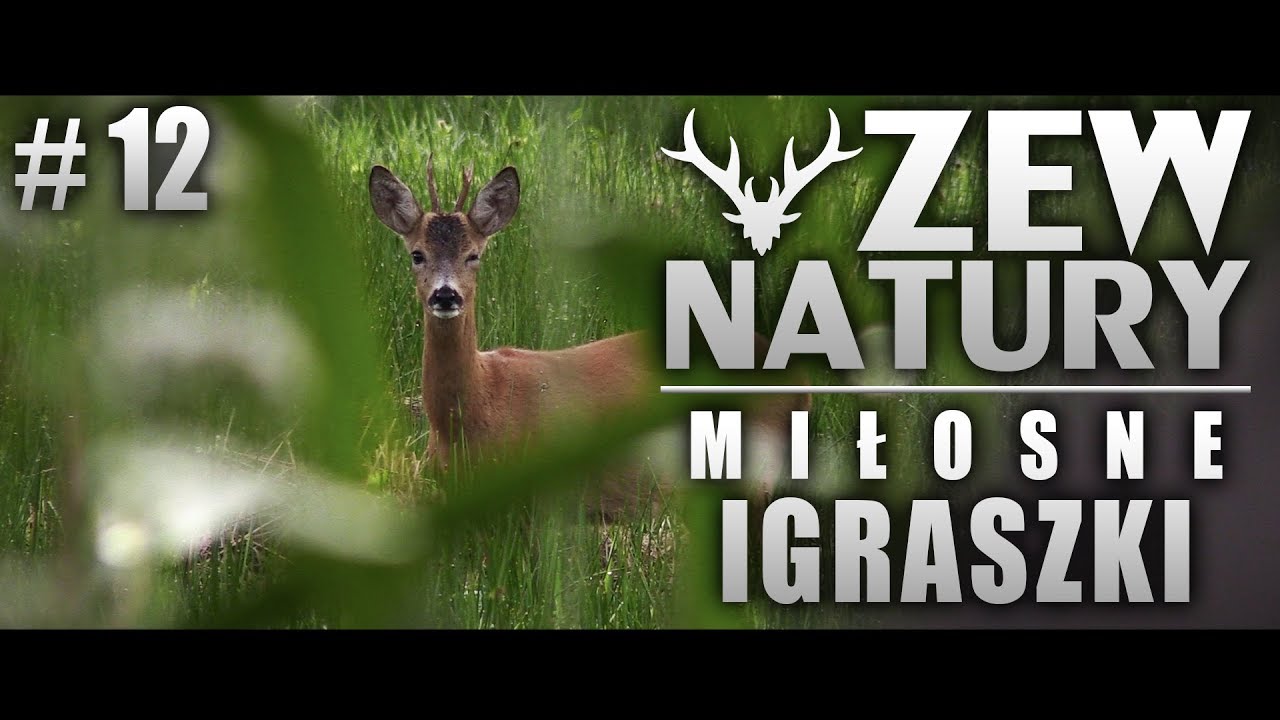 Zew Natury #12 - Milosne igraszki