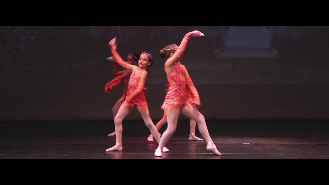 Ballet Adriana Rezende em: Alice no país das maravilhas - Flamingos