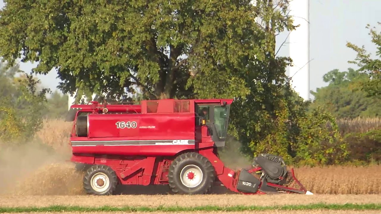 Harvest 2020 | Case IH 1640 Axial Flow Harvesting Soybeans | Soybean Harvest 2020