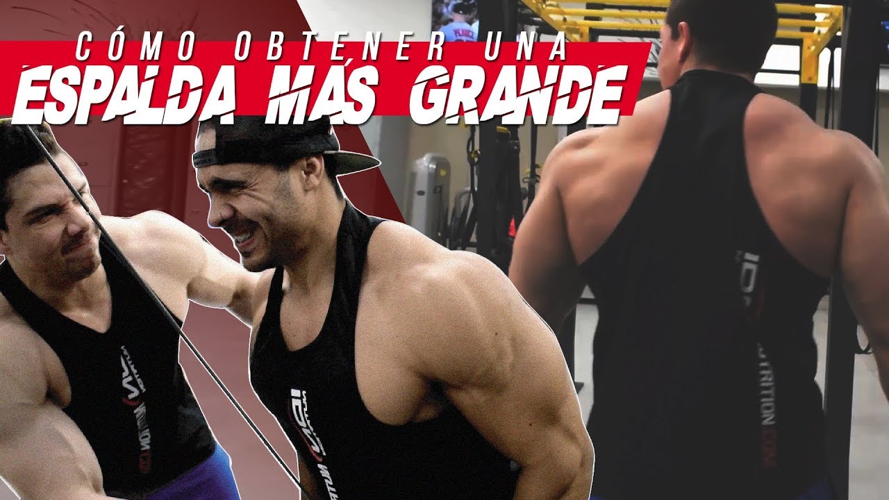 Entrenamiento de ESPALDA para ganar MASA MUSCULAR